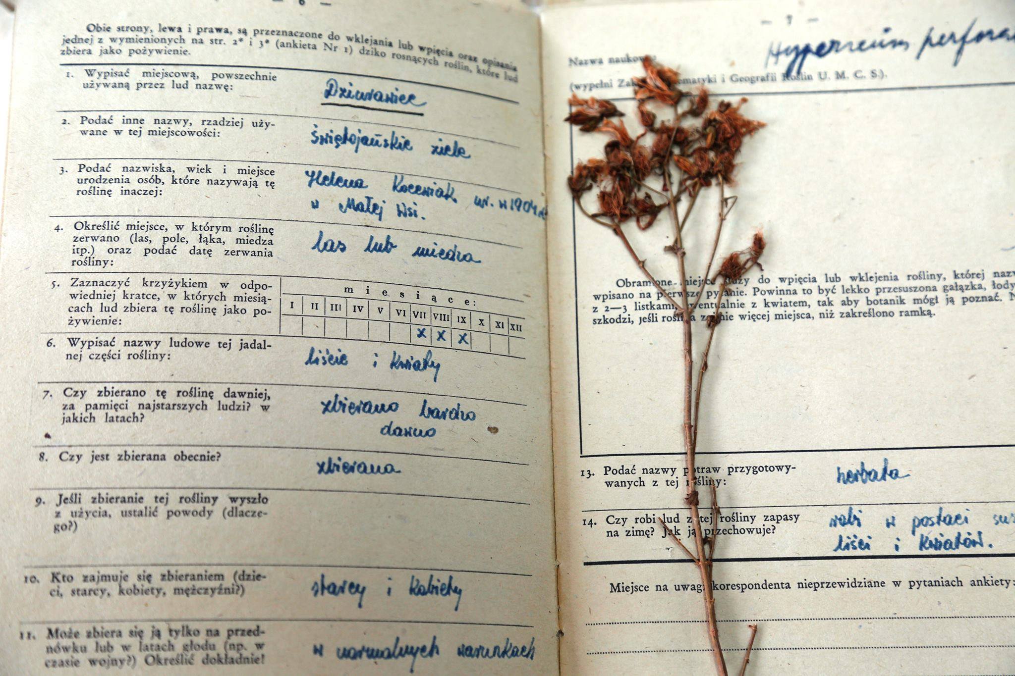 19022825 683338858519522 2029177107 o