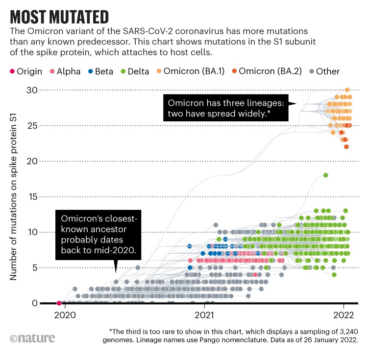 d41586 022 00215 2 20071926
