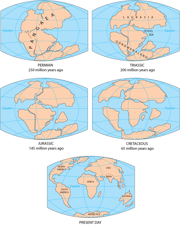 fig2 5globes