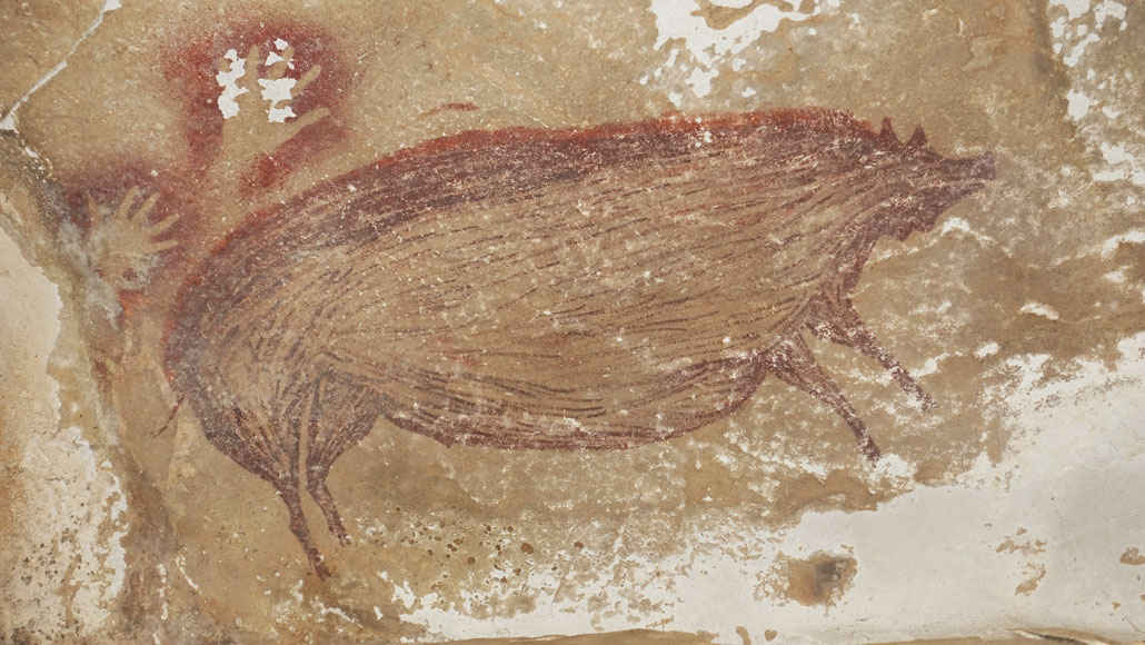 Prehistoryczny obraz świni znaleziono w jaskini w Indonezji