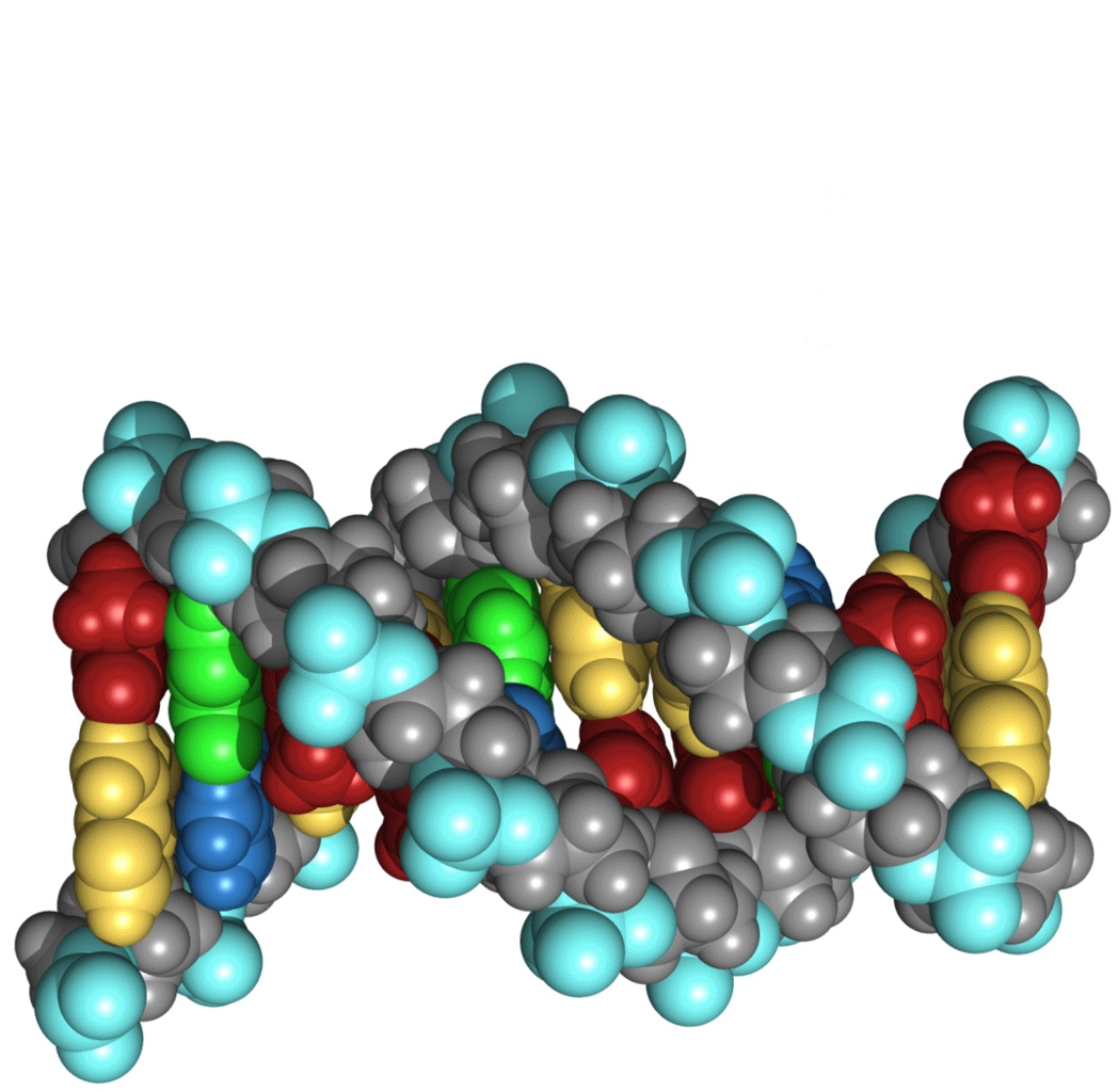 Ludzie wykorzystują jedynie 8,2% swojego DNA