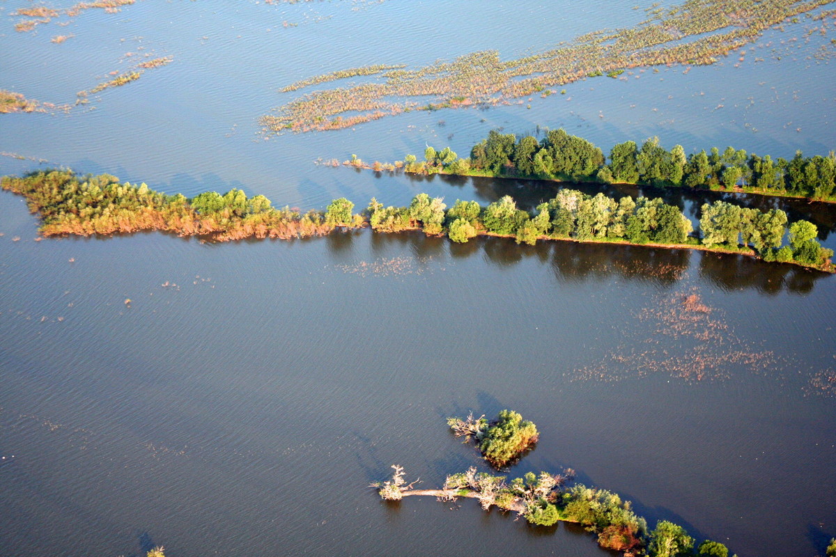 Ujście Wisły do Zbiornika Goczałkowickiego | fot. Andrzej Siudy