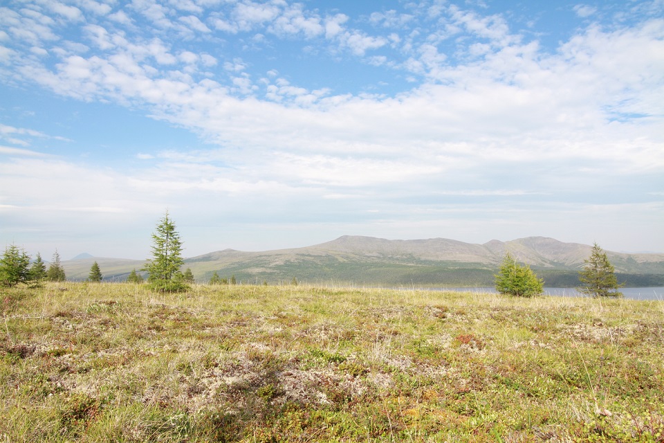 Syberyjska tundra powoli znika