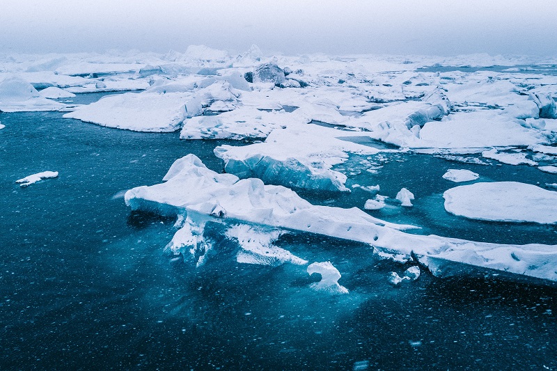 Trawlery zagrażają przyrodzie w Arktyce