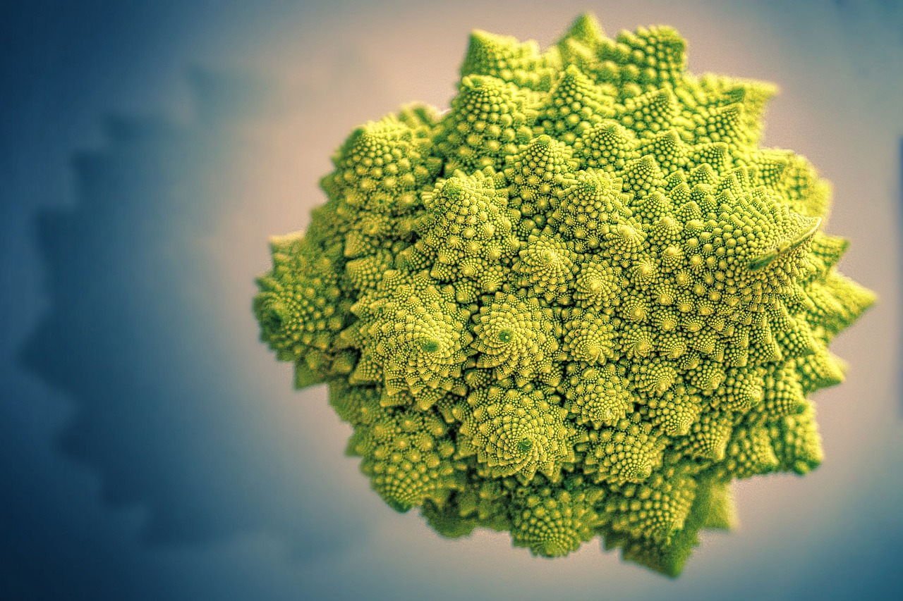 Fraktale w kalafiorze