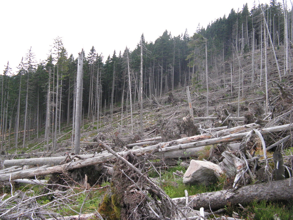 Niszczycielska moc cyklonów