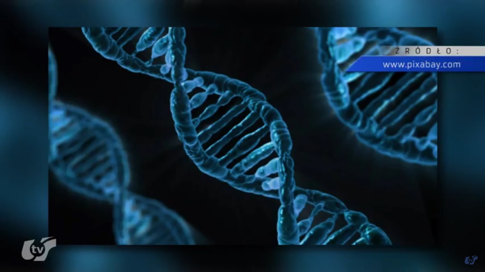 Czy wiesz, że? Mikrobiom