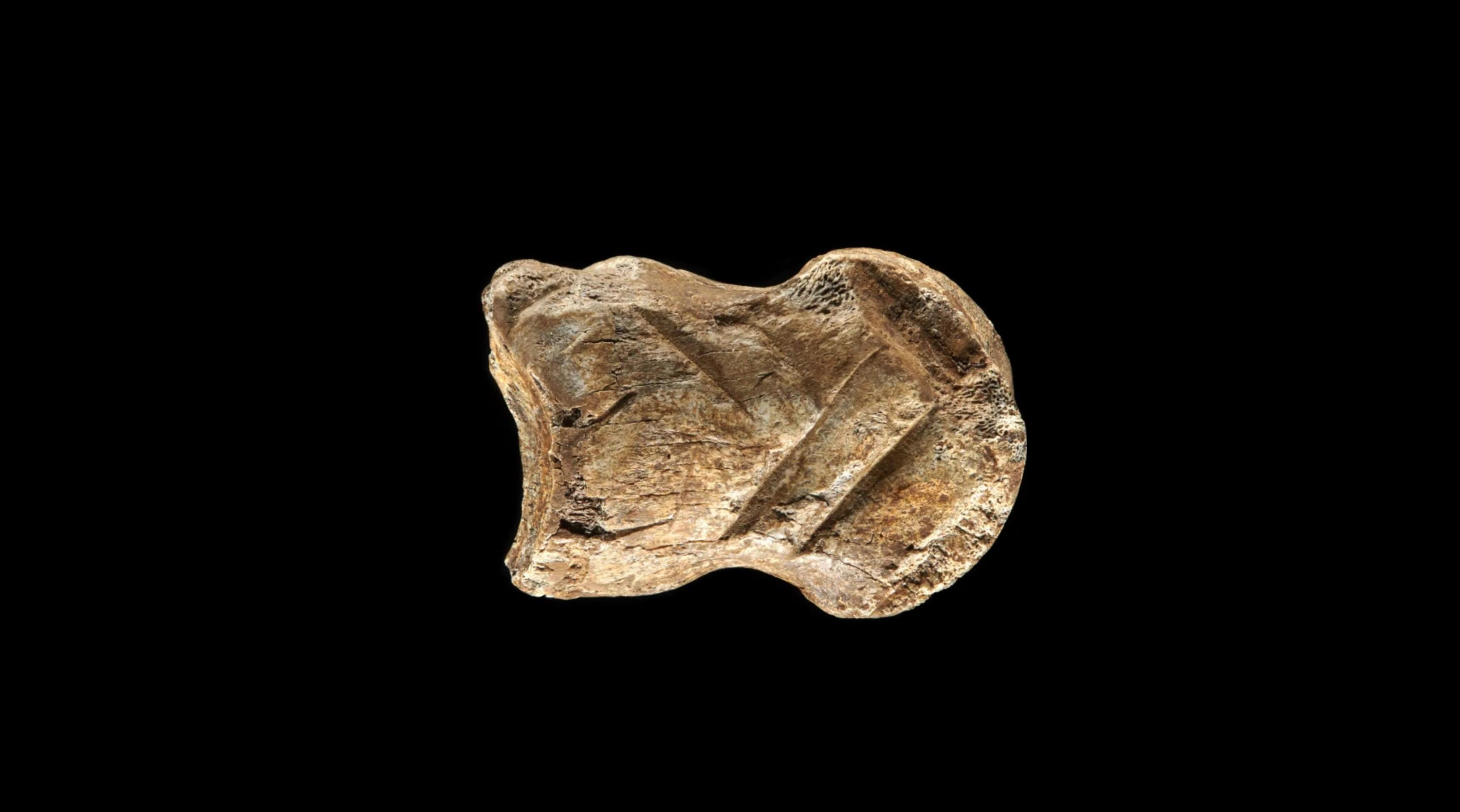 Nowe dowody na artystyczne zdolności neandertalczyków