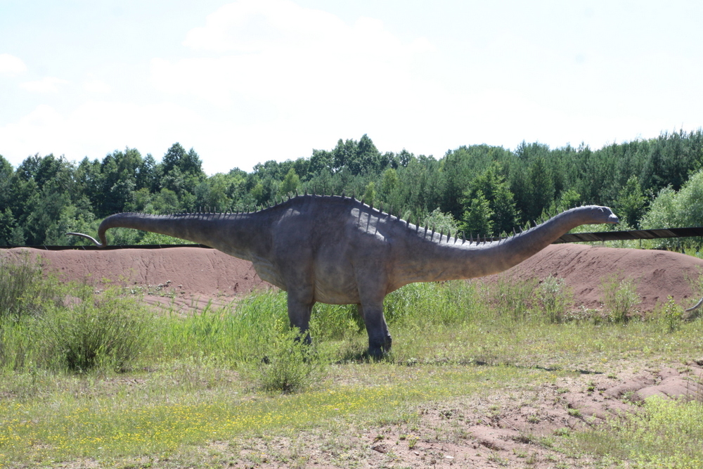 Odkryto gigantyczny odcisk stopy dinozaura
