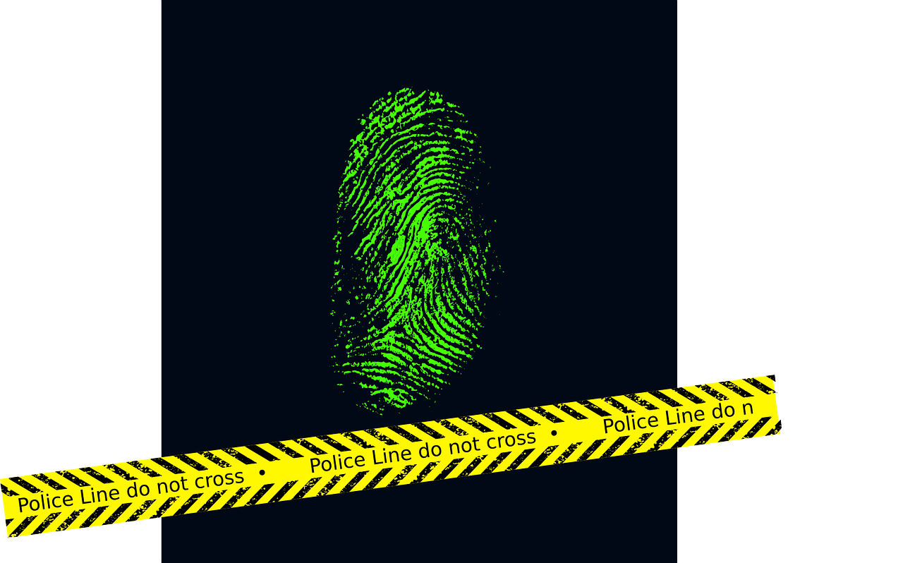 Przestępca pod lupą