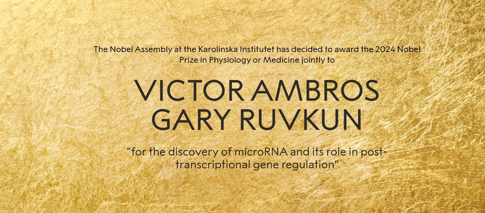Nagroda Nobla dla odkrywców mikroRNA