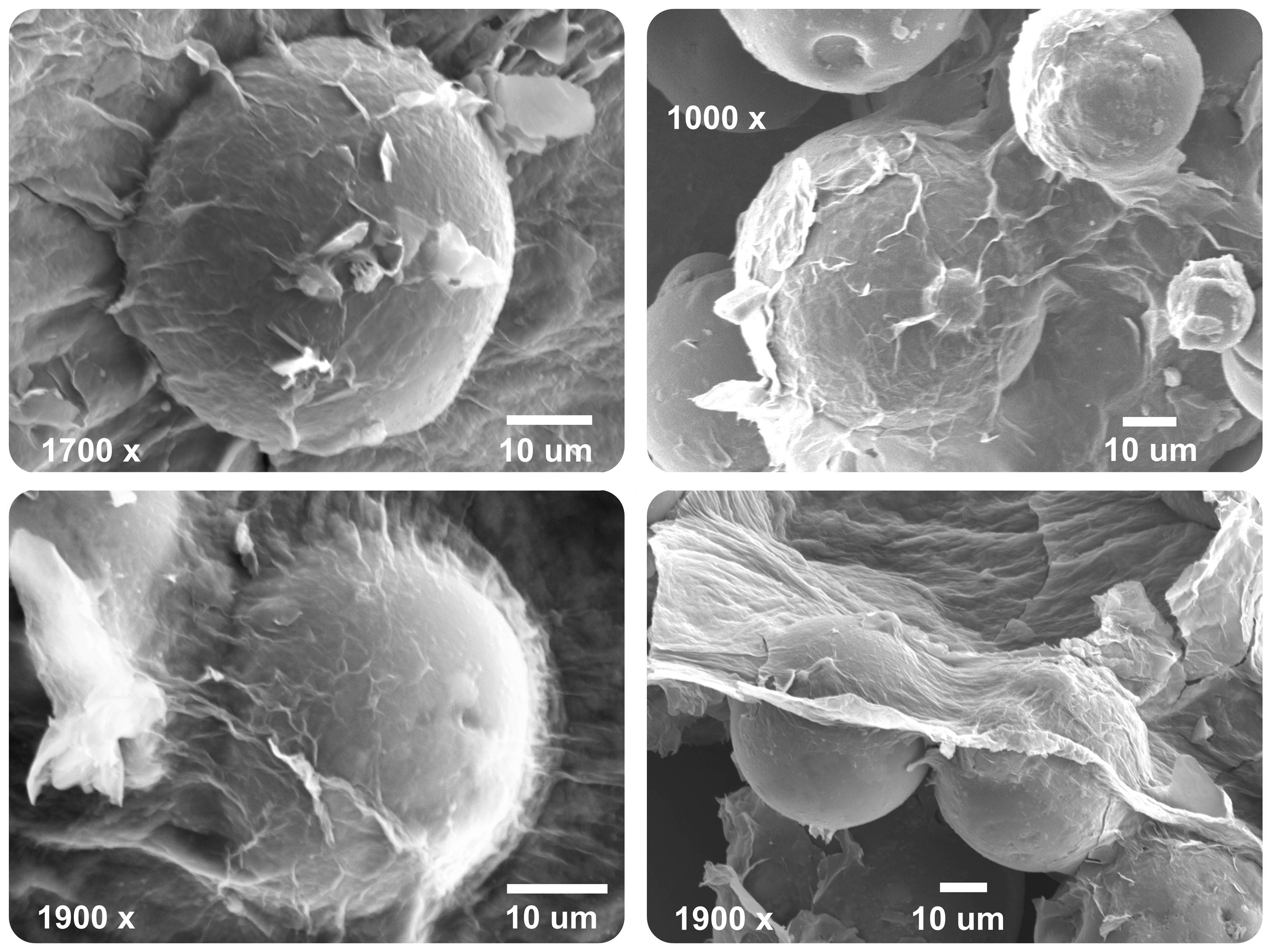 Sferyczne cząstki krzemionki pokryte płatkami tlenku grafenu. Fot. Rafał Sitko