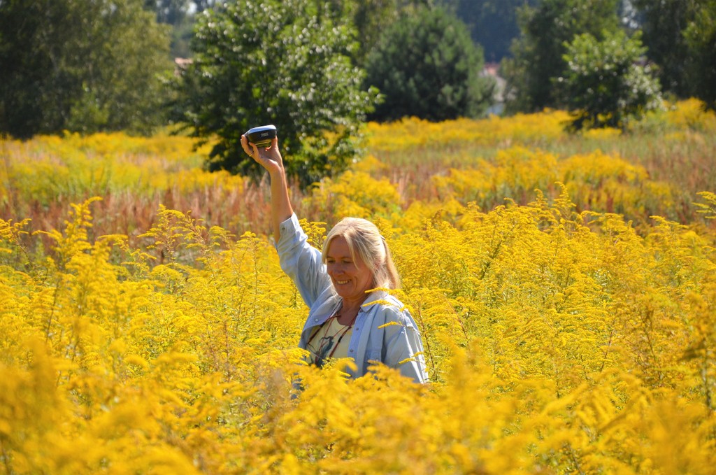 Gdy botanicy współpracują z lotnikami