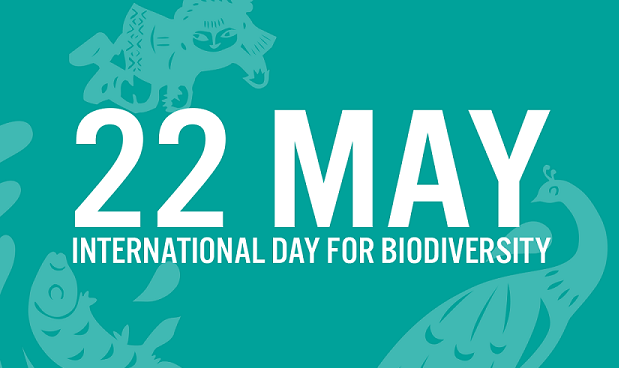 Międzynarodowy Dzień Różnorodności Biologicznej