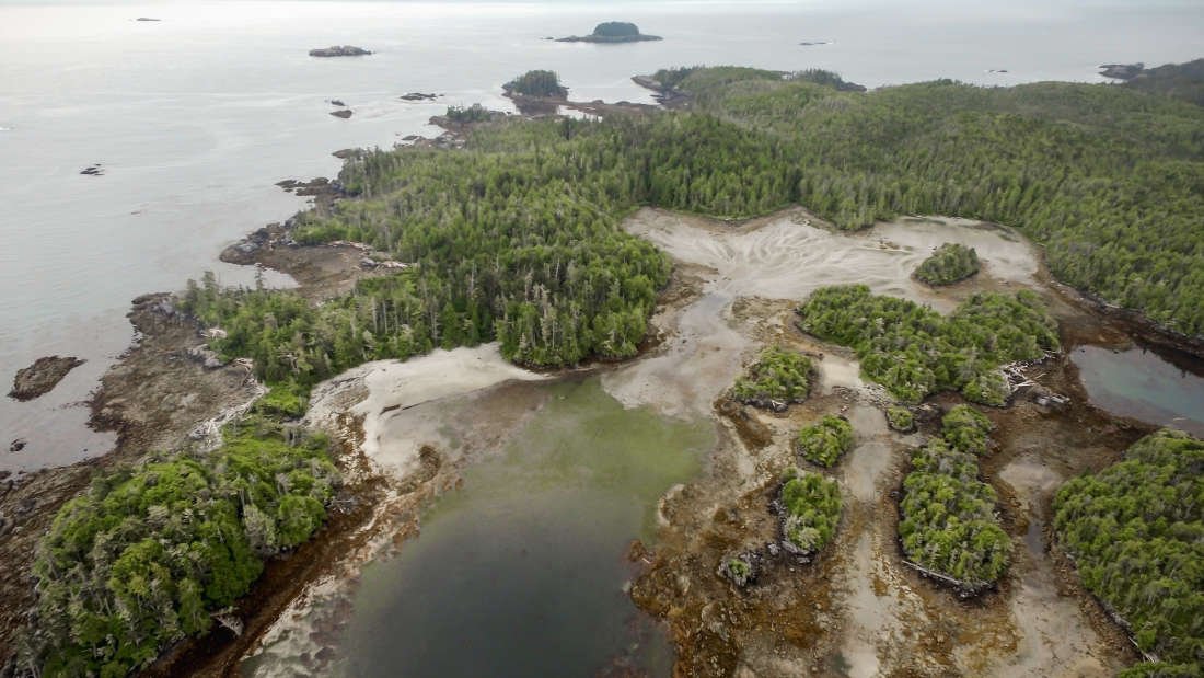 Triquet Island. Foto: Grant Callegari/Hakai Institute