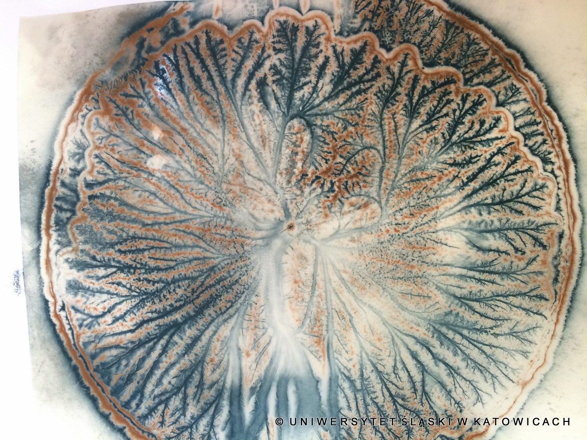 Uderzenie pioruna jak dzieło sztuki