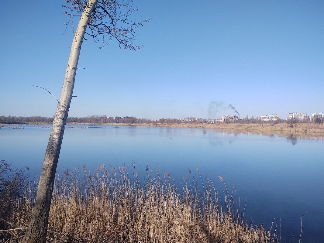 Jaki wpływ ma długotrwała emisja zanieczyszczeń?