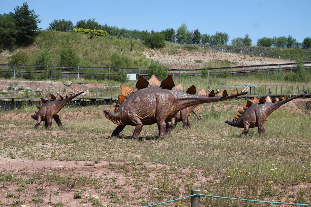 Zidentyfikowano ważne ogniwo w ewolucji dinozaurów