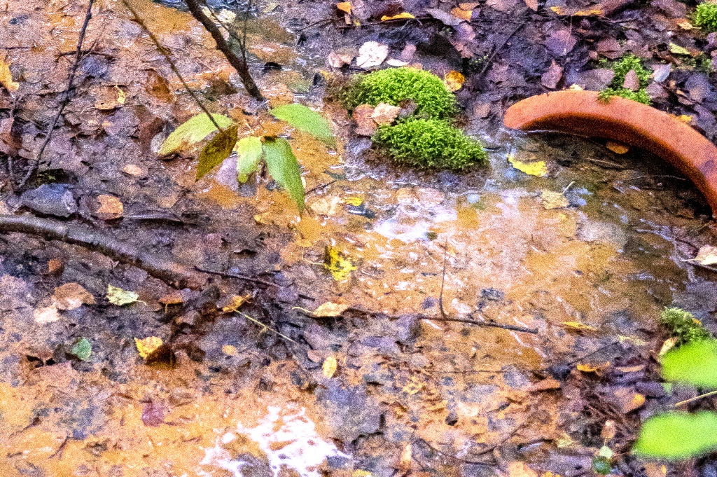 Recepta na skażony obszar