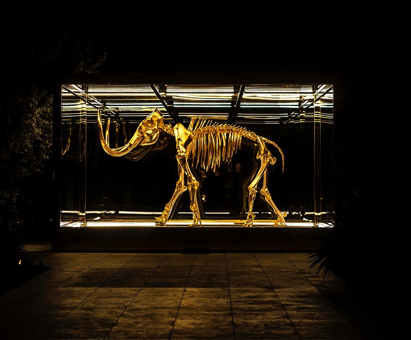 Biografia mamuta odczytana z jego ciosu