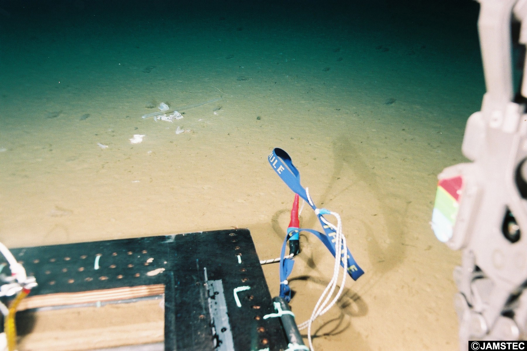 Plastikowa torba na dnie Rowu Mariańskiego