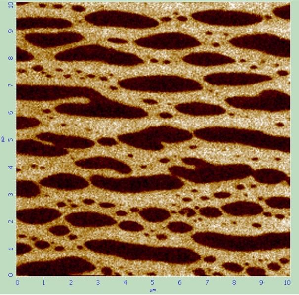 Fot. 2 Zdjęcie domen ferroelektrycznych (autor: dr Krzysztof Ćwikiel)