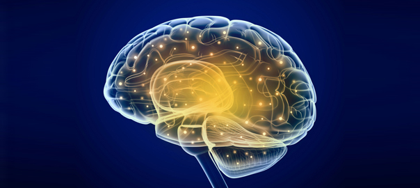 Bioniczny kręgosłup