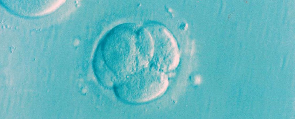 Mutacyjna igła w genetycznym stogu siana