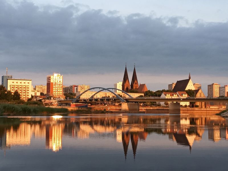 Rzeka Odra 2022 – co wiemy o katastrofie ekologicznej?