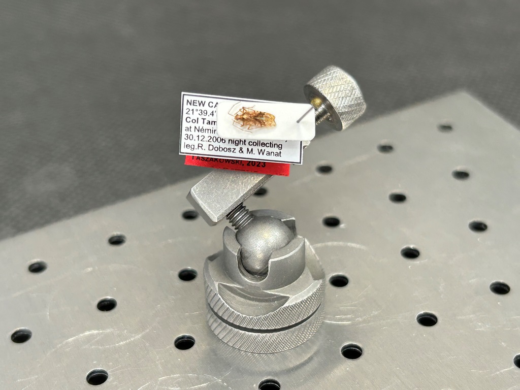 Patent, który pozwoli chronić cenne okazy owadów