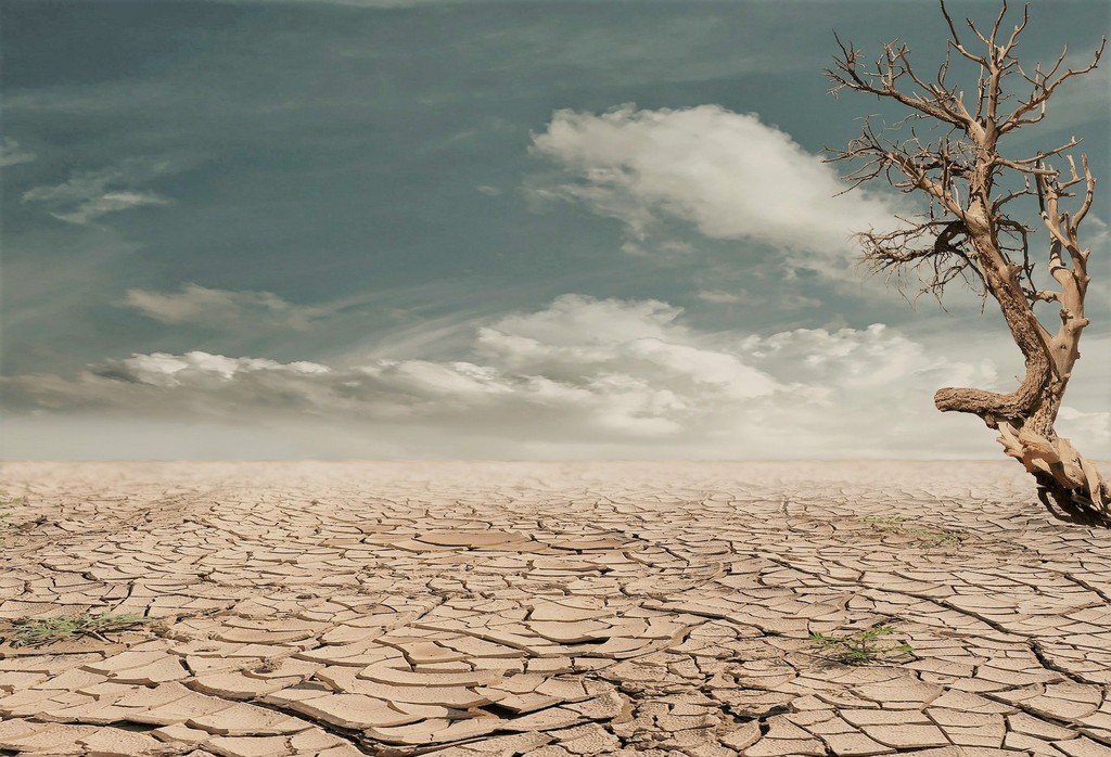 Ziemia (nie)przyjazna dla ludzi