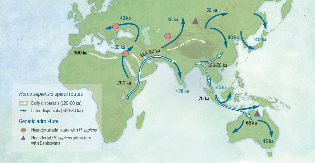 Mapa potencjalnych kierunków i ścieżek rozprzestrzeniania się Homo sapiens w późnym plejstocenie