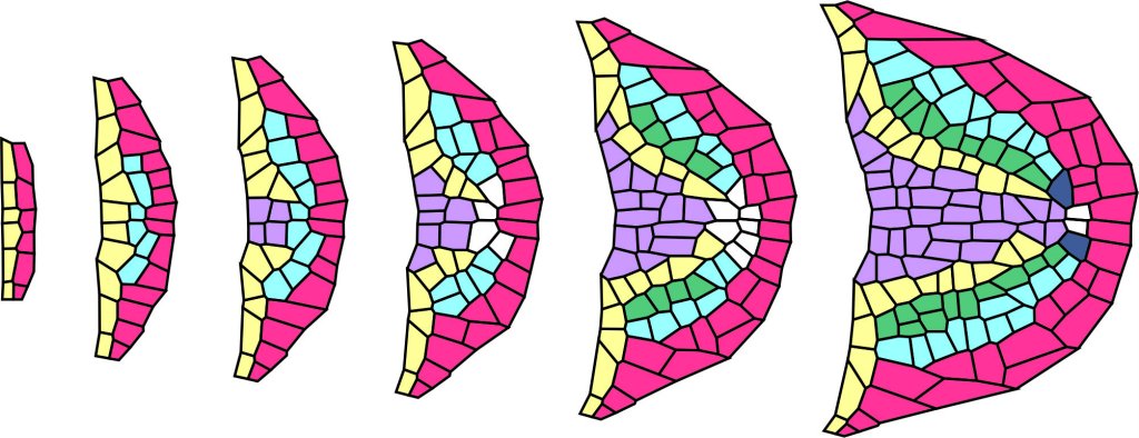 Ujarzmienie natury za pomocą języka matematyki