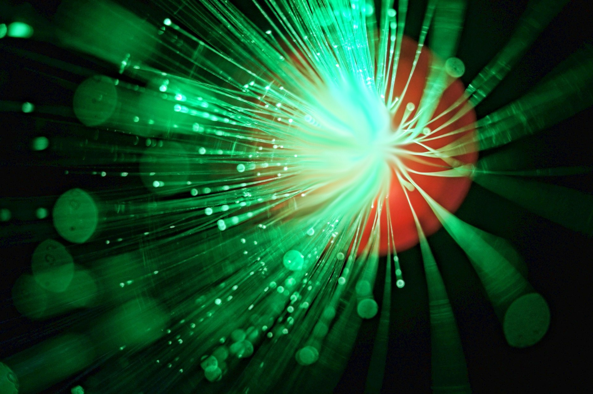 Bez światła nie byłoby życia