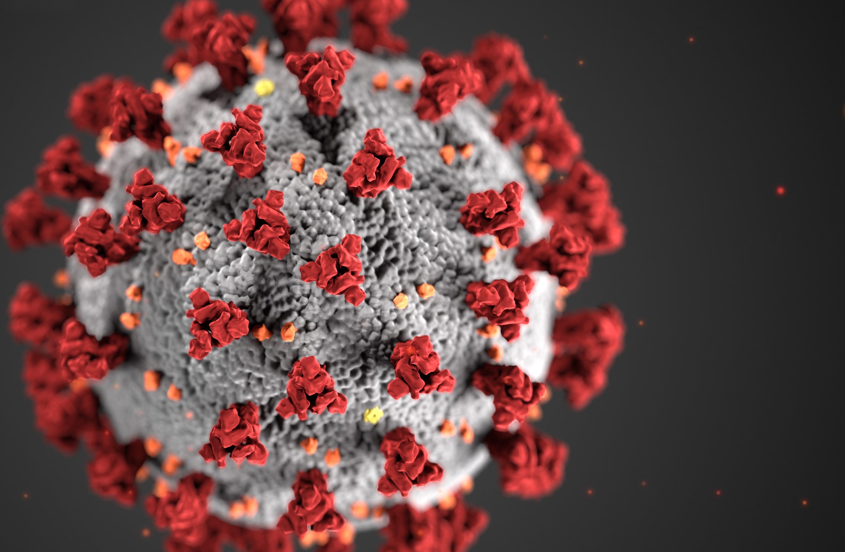 Wirusy. Jak zabić coś, co wymyka się definicji organizmu żywego?