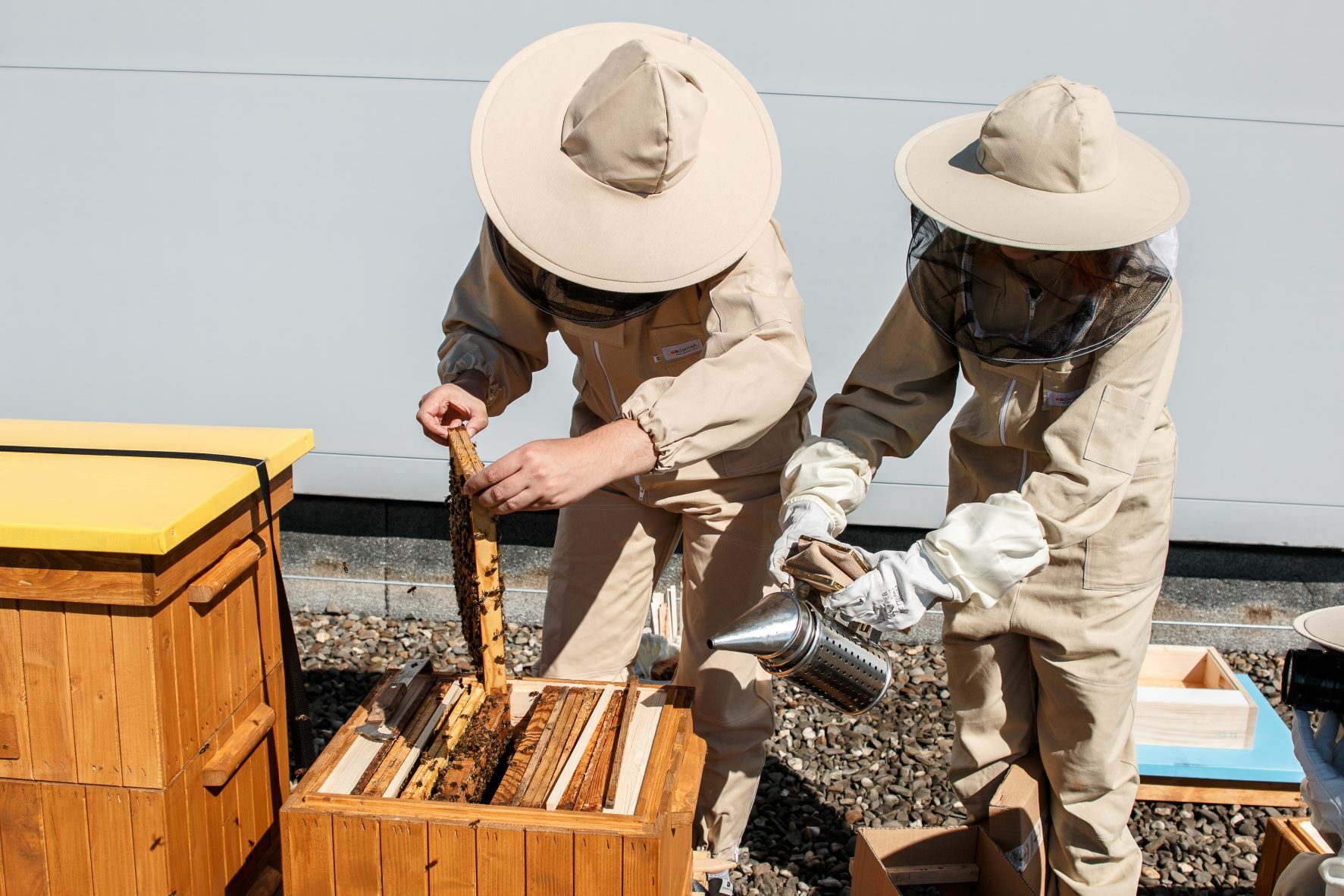 img 5502 fot julia agnieszka szymala