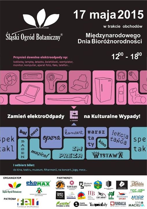 miedzynarodowy dzien roznorodnosci