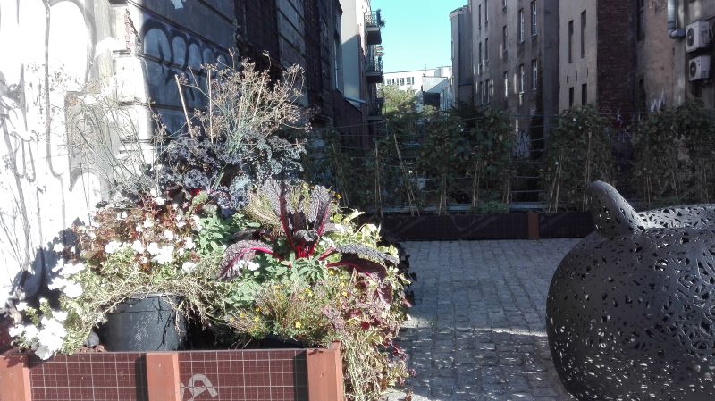 rawa w katowicach proby gentryfikacji wizualnej kanalu fot. robert krzysztofik