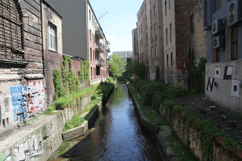 Rawa w centrum Katowic