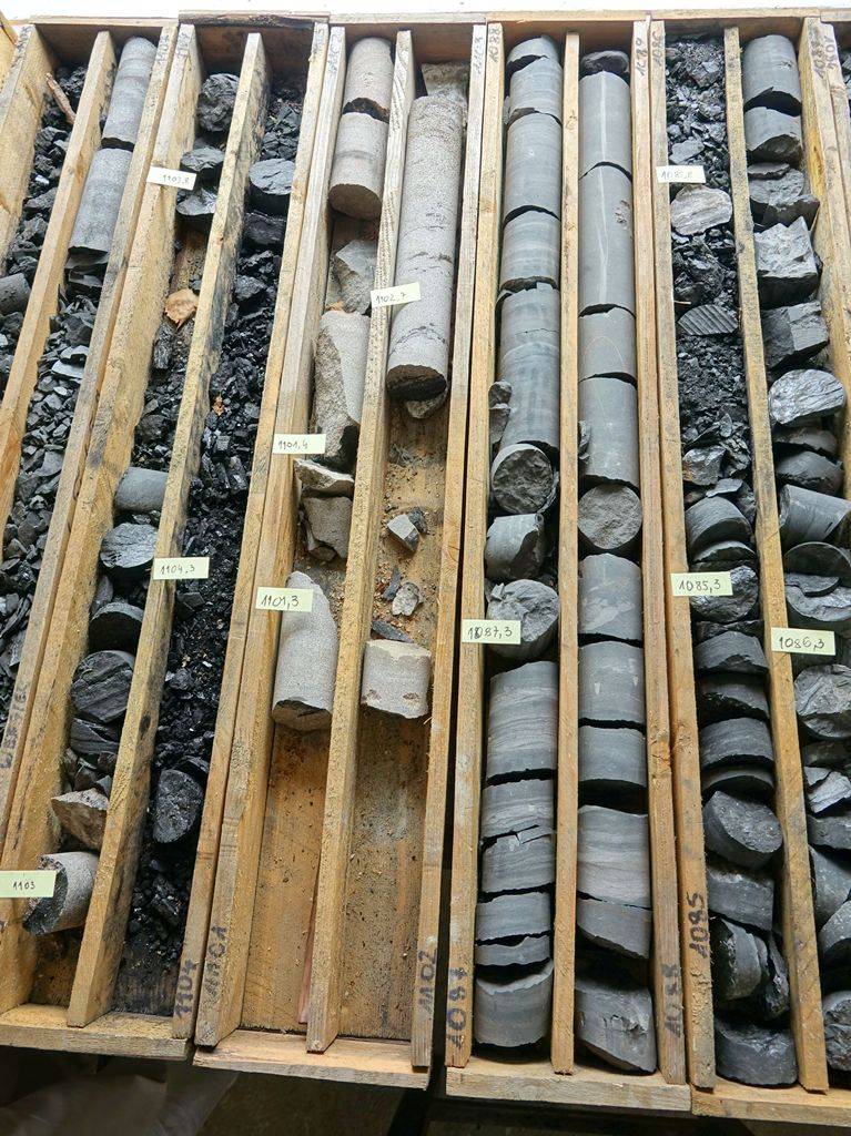 Węgiel i skały węglonośne