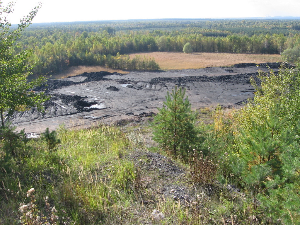 roznorodnosc siedlsk