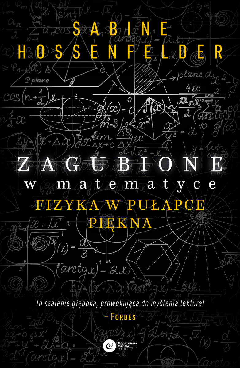 Zagubione w matematyce. Fizyka w pułapce piękna